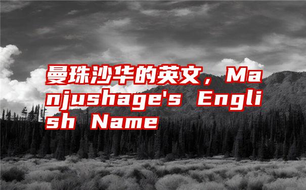 曼珠沙华的英文，Manjushage's English Name