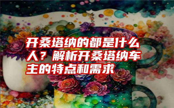 开桑塔纳的都是什么人?解析开桑塔纳车主的特点和需求