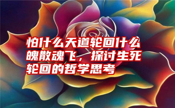 怕什么天道轮回什么魄散魂飞，探讨生死轮回的哲学思考