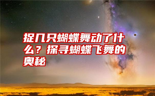 捉几只蝴蝶舞动了什么？探寻蝴蝶飞舞的奥秘