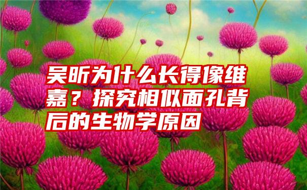 吴昕为什么长得像维嘉？探究相似面孔背后的生物学原因