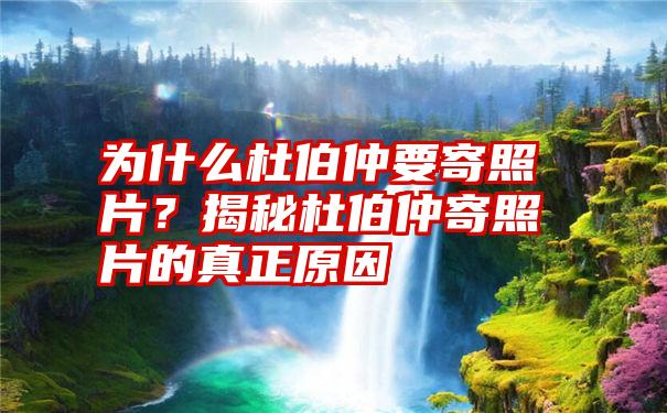 为什么杜伯仲要寄照片？揭秘杜伯仲寄照片的真正原因