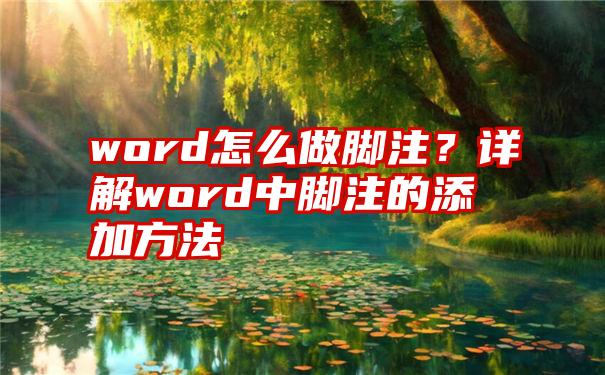 word怎么做脚注？详解word中脚注的添加方法