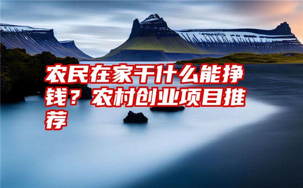 农民在家干什么能挣钱？农村创业项目推荐