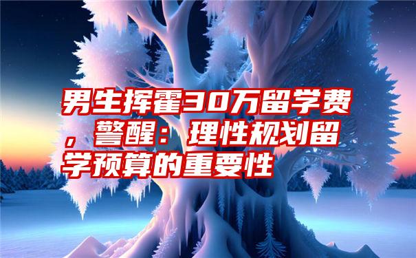 男生挥霍30万留学费，警醒：理性规划留学预算的重要性