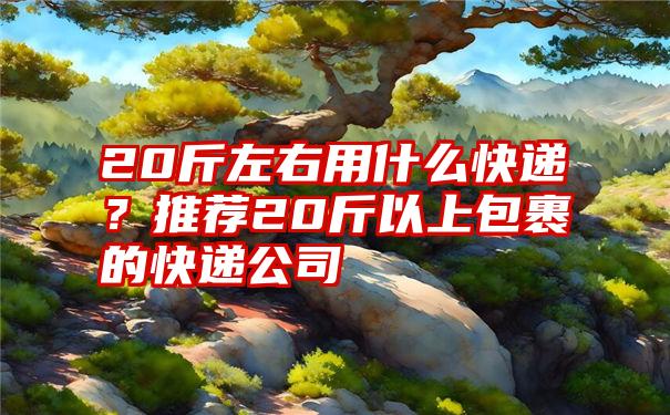 20斤左右用什么快递？推荐20斤以上包裹的快递公司