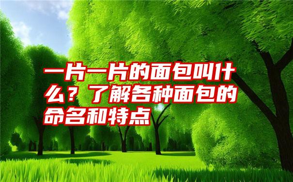 一片一片的面包叫什么？了解各种面包的命名和特点