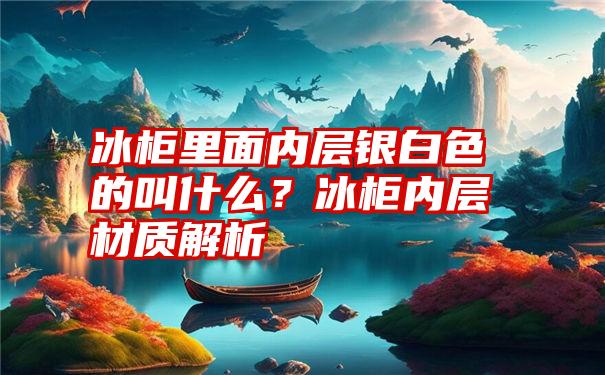 冰柜里面内层银白色的叫什么？冰柜内层材质解析