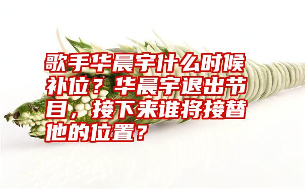 歌手华晨宇什么时候补位？华晨宇退出节目，接下来谁将接替他的位置？