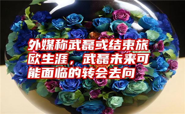 外媒称武磊或结束旅欧生涯,武磊未来可能面临的转会去向