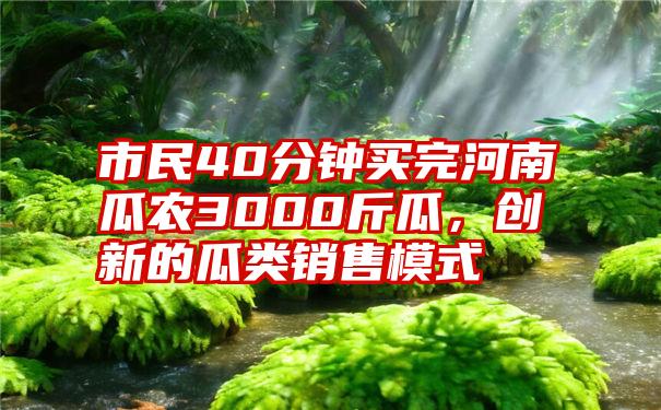 市民40分钟买完河南瓜农3000斤瓜，创新的瓜类销售模式