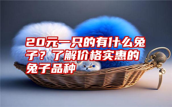 20元一只的有什么兔子？了解价格实惠的兔子品种