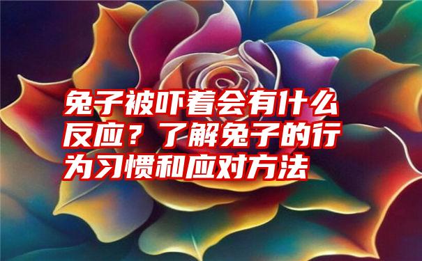 兔子被吓着会有什么反应？了解兔子的行为习惯和应对方法