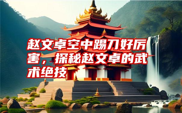 赵文卓空中踢刀好厉害,探秘赵文卓的武术绝技
