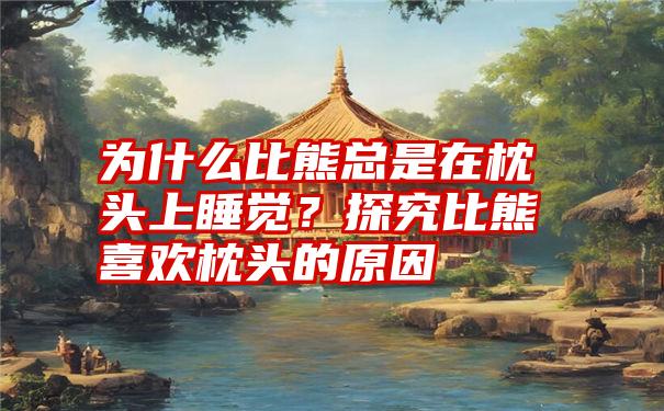 为什么比熊总是在枕头上睡觉？探究比熊喜欢枕头的原因
