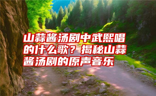 山蒜酱汤剧中武熙唱的什么歌？揭秘山蒜酱汤剧的原声音乐