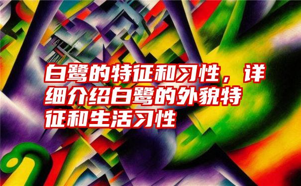 白鹭的特征和习性，详细介绍白鹭的外貌特征和生活习性