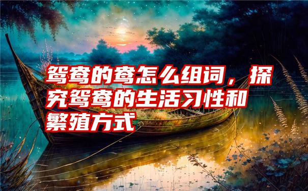 鸳鸯的鸯怎么组词,探究鸳鸯的生活习性和繁殖方式
