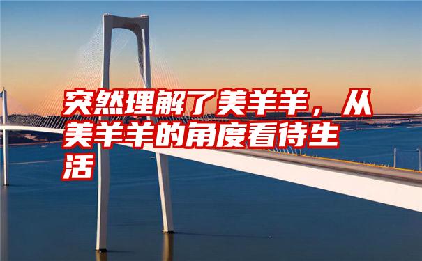 突然理解了美羊羊，从美羊羊的角度看待生活