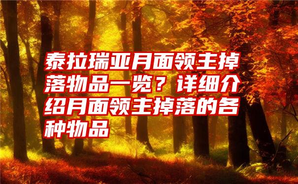 泰拉瑞亚月面领主掉落物品一览？详细介绍月面领主掉落的各种物品