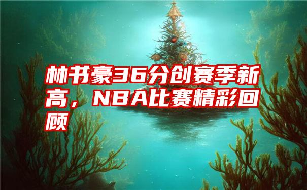 林书豪36分创赛季新高，NBA比赛精彩回顾