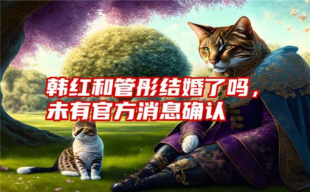 韩红和管彤结婚了吗，未有官方消息确认