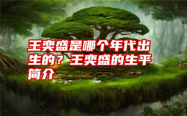 王奕盛是哪个年代出生的？王奕盛的生平简介