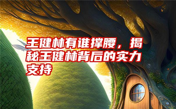 王健林有谁撑腰,揭秘王健林背后的实力支持