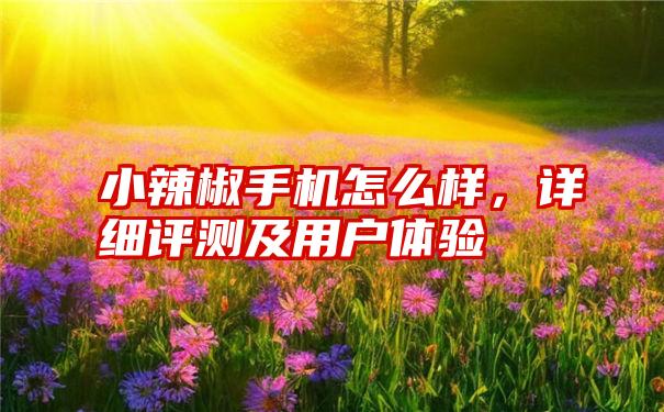 小辣椒手机怎么样，详细评测及用户体验