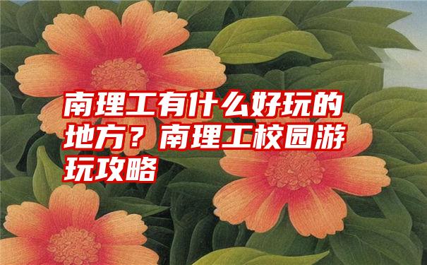 南理工有什么好玩的地方？南理工校园游玩攻略