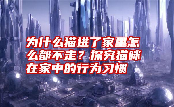 为什么猫进了家里怎么都不走？探究猫咪在家中的行为习惯