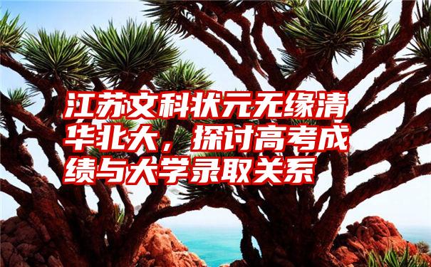 江苏文科状元无缘清华北大，探讨高考成绩与大学录取关系