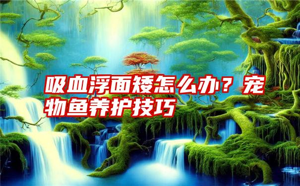 吸血浮面矮怎么办？宠物鱼养护技巧