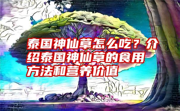 泰国神仙草怎么吃？介绍泰国神仙草的食用方法和营养价值