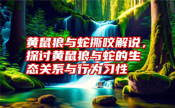 黄鼠狼与蛇撕咬解说，探讨黄鼠狼与蛇的生态关系与行为习性