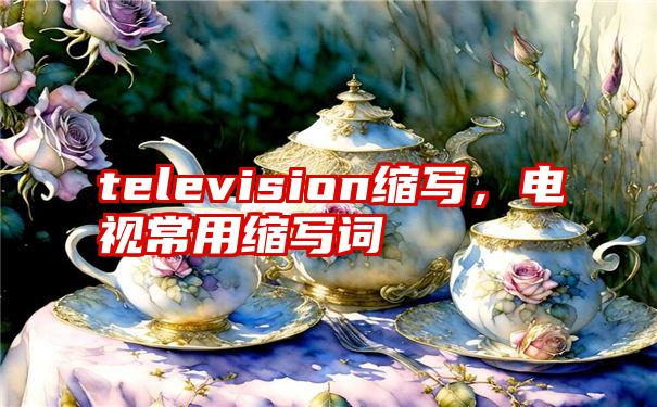 television缩写，电视常用缩写词