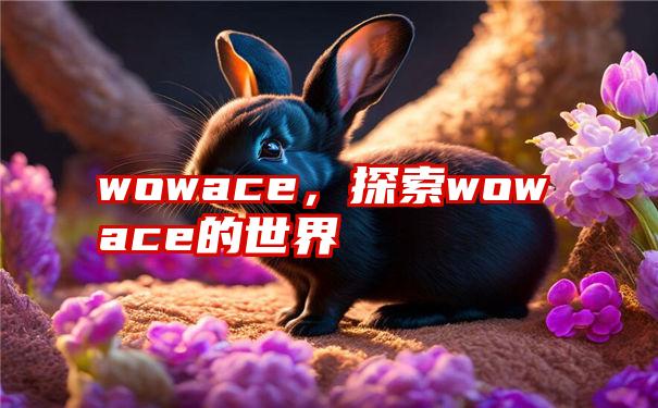 wowace，探索wowace的世界