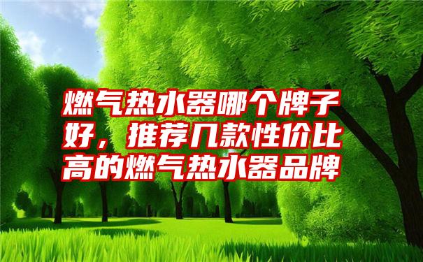 燃气热水器哪个牌子好，推荐几款性价比高的燃气热水器品牌