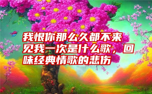 我恨你那么久都不来见我一次是什么歌，回味经典情歌的悲伤