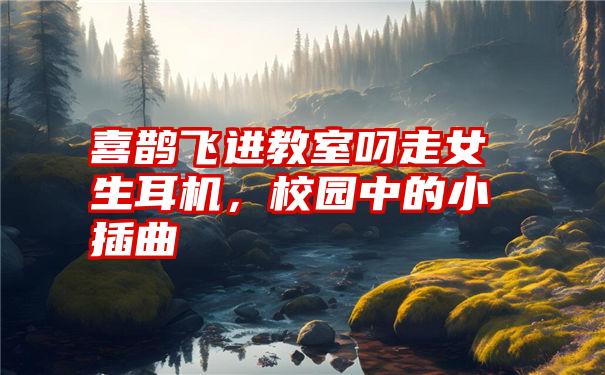 喜鹊飞进教室叼走女生耳机,校园中的小插曲