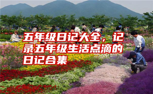 五年级日记大全，记录五年级生活点滴的日记合集
