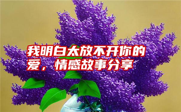 我明白太放不开你的爱,情感故事分享
