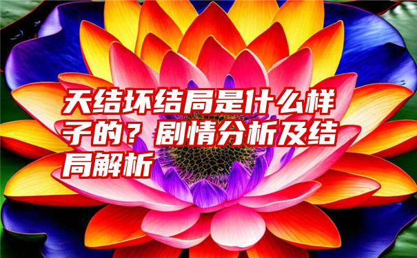 天结坏结局是什么样子的？剧情分析及结局解析