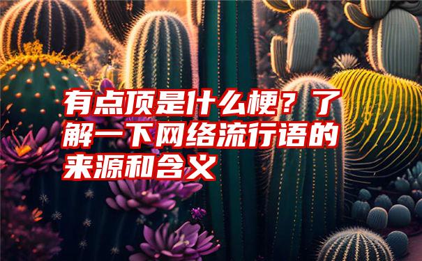 有点顶是什么梗？了解一下网络流行语的来源和含义