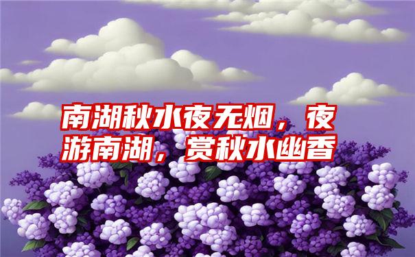 南湖秋水夜无烟,夜游南湖,赏秋水幽香