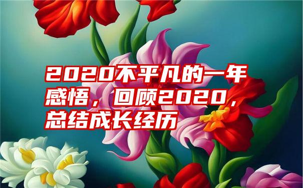 2020不平凡的一年感悟，回顾2020，总结成长经历