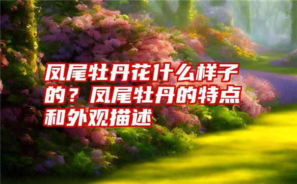 凤尾牡丹花什么样子的？凤尾牡丹的特点和外观描述