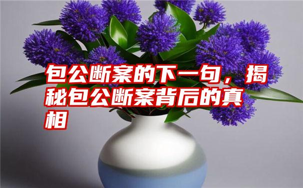 包公断案的下一句,揭秘包公断案背后的真相