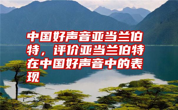 中国好声音亚当兰伯特，评价亚当兰伯特在中国好声音中的表现