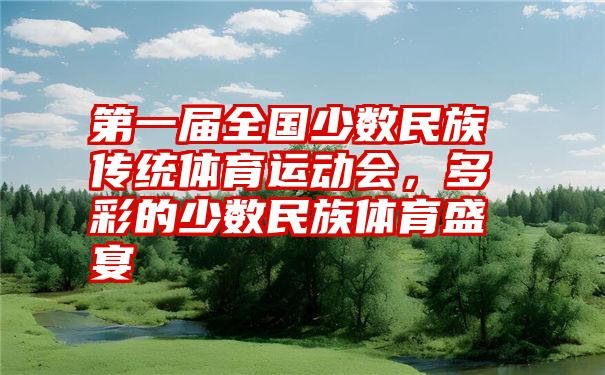 第一届全国少数民族传统体育运动会,多彩的少数民族体育盛宴